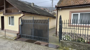 Vand casa in Moldova Noua