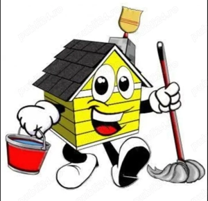 Curățenie la domiciliu 