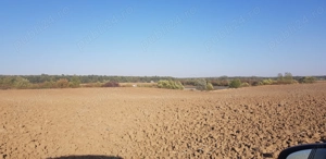 Vând teren Răcari Săbiești Dâmbovița - imagine 6