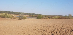 Vând teren Răcari Săbiești Dâmbovița - imagine 4