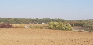 Vând teren Răcari Săbiești Dâmbovița - imagine 5