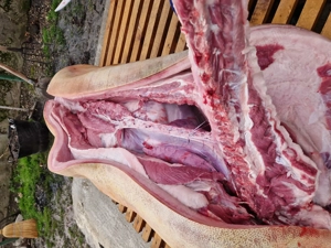 Vind porci de carne - imagine 2