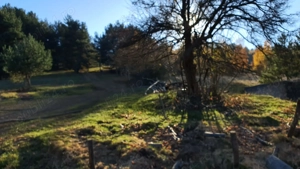 Vand 1300 mp teren intravilan in Lisnau Vale - imagine 3