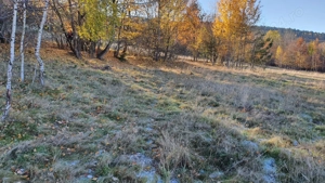 Vand 1300 mp teren intravilan in Lisnau Vale - imagine 5