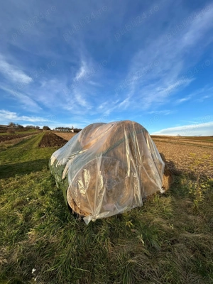 Baloți lucerna cu fân 