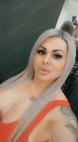 Ts  de azi in orasul tau ofer și  show web