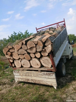 vând lemne de foc esență tare cer,fag,carpen,stejar cantitate garantata  transport gratuit  lemnele 