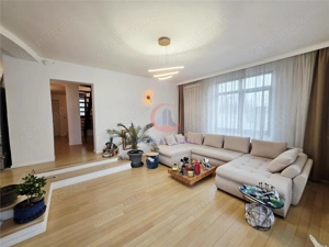 Vila, Cerneteaz, Teren Generos, Casa de Oaspeti, Beci, Garaj - imagine 5