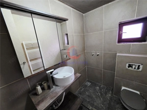 Vila, Cerneteaz, Teren Generos, Casa de Oaspeti, Beci, Garaj - imagine 10