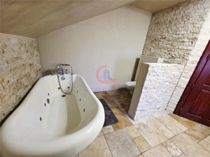 Vila, Cerneteaz, Teren Generos, Casa de Oaspeti, Beci, Garaj - imagine 18