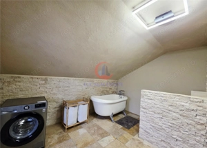 Vila, Cerneteaz, Teren Generos, Casa de Oaspeti, Beci, Garaj - imagine 19