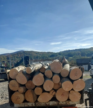 lemne de vazare de foc 
