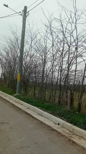 Vand loc de casa  - imagine 2