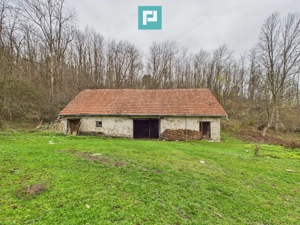 Casă cu teren de 24.679,73 mp, în Hălmagiu, Arad - imagine 11