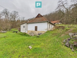 Casă cu teren de 24.679,73 mp, în Hălmagiu, Arad - imagine 8