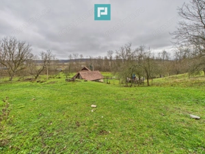 Casă cu teren de 24.679,73 mp, în Hălmagiu, Arad - imagine 13