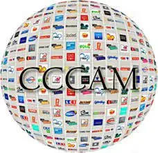 5 Linii cccam super stabile  Thor 1w