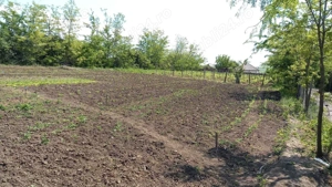 Teren, intravilan, sat Potângeni, com. Movileni  - imagine 4