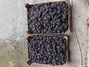 prune uscate de vanzare 
