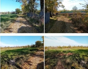 Teren Ungheni, ID: R2832820 - imagine 2