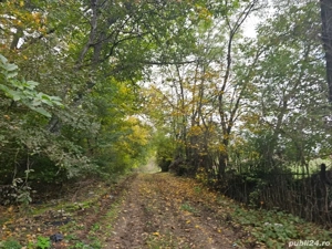 Teren SNAGOV - Gruiu doar 6 E mp