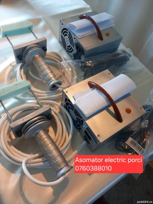 Asomator electric porci