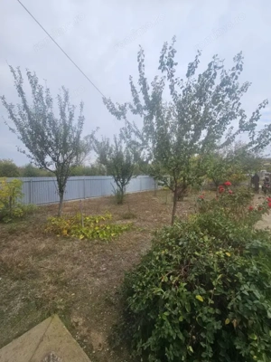 CASA P+M , 150 mp, TEREN 3000 MP ,FILIASI( FRATOSTITA) , COMISION 0% CUMPARATOR - imagine 13