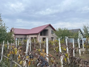 CASA P+M , 150 mp, TEREN 3000 MP ,FILIASI( FRATOSTITA) , COMISION 0% CUMPARATOR - imagine 3