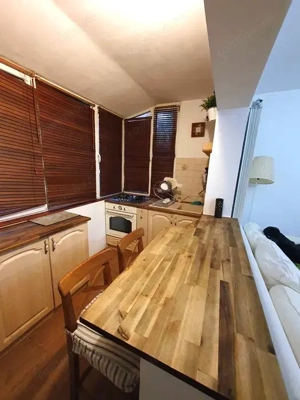 CI608 Simion .Barnutiu,3 camere,Parter,Renovat - imagine 5