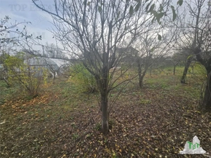 Teren 2000mp intre case langa Padurea Teghes - imagine 5