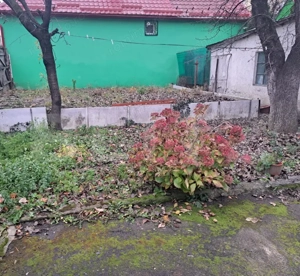 Casă cu Potențial în Brașov – Ideală pentru Locuință sau Afacere - imagine 5
