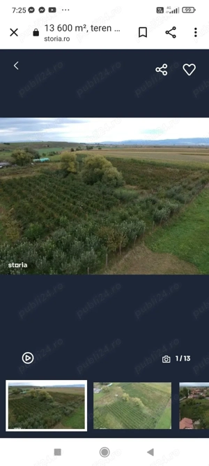 13200 mp intravilan jud Covasna  - imagine 6