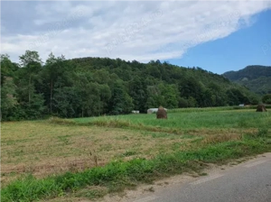 Doua terenuri extravilane 1440 mp si 1500 mp, com. BAITA, jud. HUNEDOARA