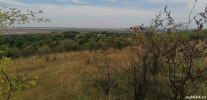 Vând teren extravilan Bocșa (pășune)