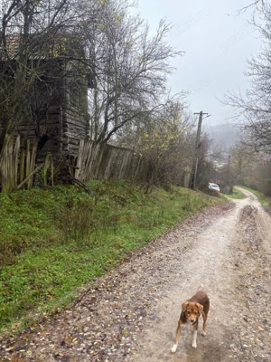 Casa de vanzare - imagine 8