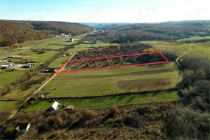 Teren 7744 mp la Coada Noului Lac de Agrement Băile Felix - imagine 5