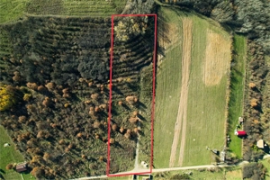 Teren 7744 mp la Coada Noului Lac de Agrement Băile Felix - imagine 4