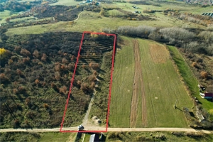 Teren 7744 mp la Coada Noului Lac de Agrement Băile Felix - imagine 3