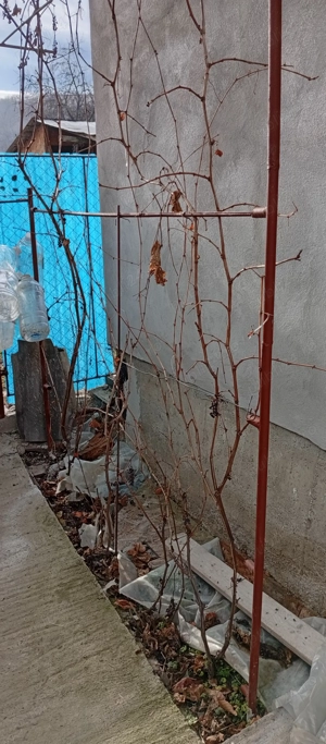 Casă de vânzare la munte în com Starchiojd  - imagine 9