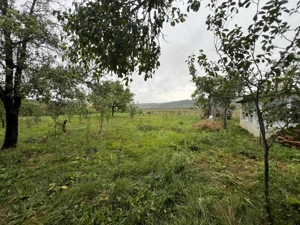 Erbiceni Podu Iloaiei teren 1300 mp utilitati Intravilan  - imagine 2