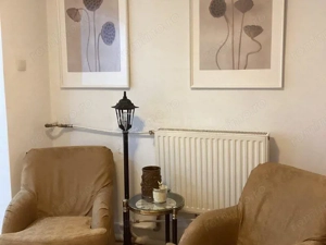 Vila individuala, Curte proprie, Parcare, Centrala Proprie, Pet Friendly, 10 min Metrou - imagine 7