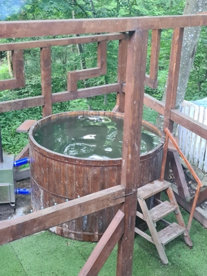 Inchiriez cabana la munte pentru Craciun si Revelion - imagine 5