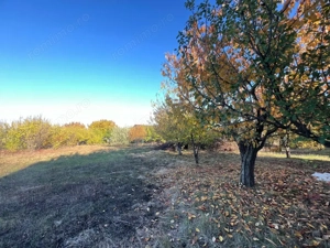 Teren constructie 800mp Rediu Horlesti