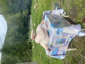 Carne de curcan - imagine 3