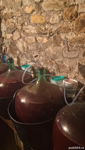 vin de vanzare - imagine 2
