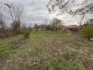 Vând casă La 15 km de Timisoara - imagine 10