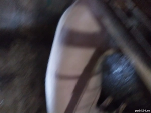 porci de vinzare  - imagine 5