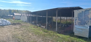 Ferma de vanzare , zona Dambu - imagine 2