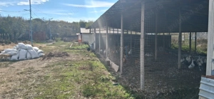 Ferma de vanzare , zona Dambu - imagine 3