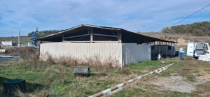 Ferma de vanzare , zona Dambu - imagine 4